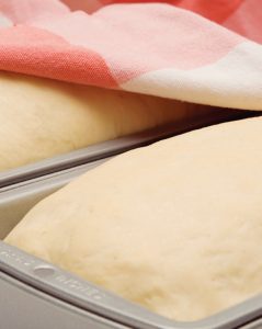 Grandma’s Crusty Cottage Cheese Bread